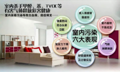 蓝天豚优质生活节全球启动,千家门店助力美好家居生活