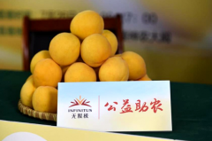 黄桃熟了 爱心浓了 无限极开启公益直播为果农带货